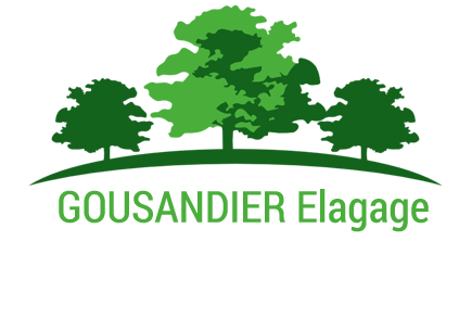 GOUSANDIER Jean-Rodolphe Elagueur 77 