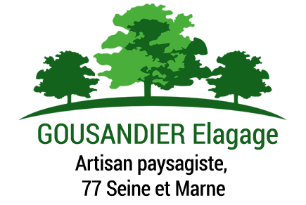 GOUSANDIER Jean-Rodolphe Elagueur 77 